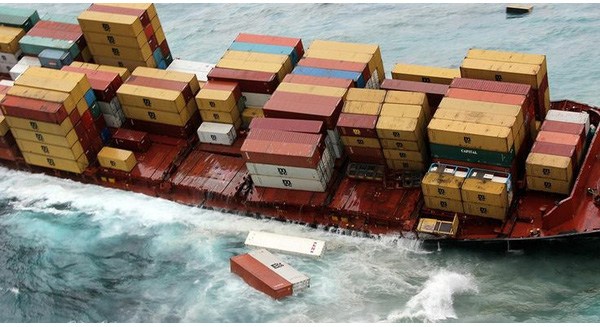 thoi-hoang-kim-cua-nhung-con-quai-thu-cho-hang-tren-bien-da-qua-01