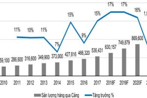 Các FTA thúc đẩy hàng hóa tăng trưởng 12-15% hàng năm qua cảng Việt Nam