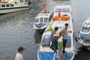 Những phương tiện nào được hoạt động vận tải từ bờ ra đảo?